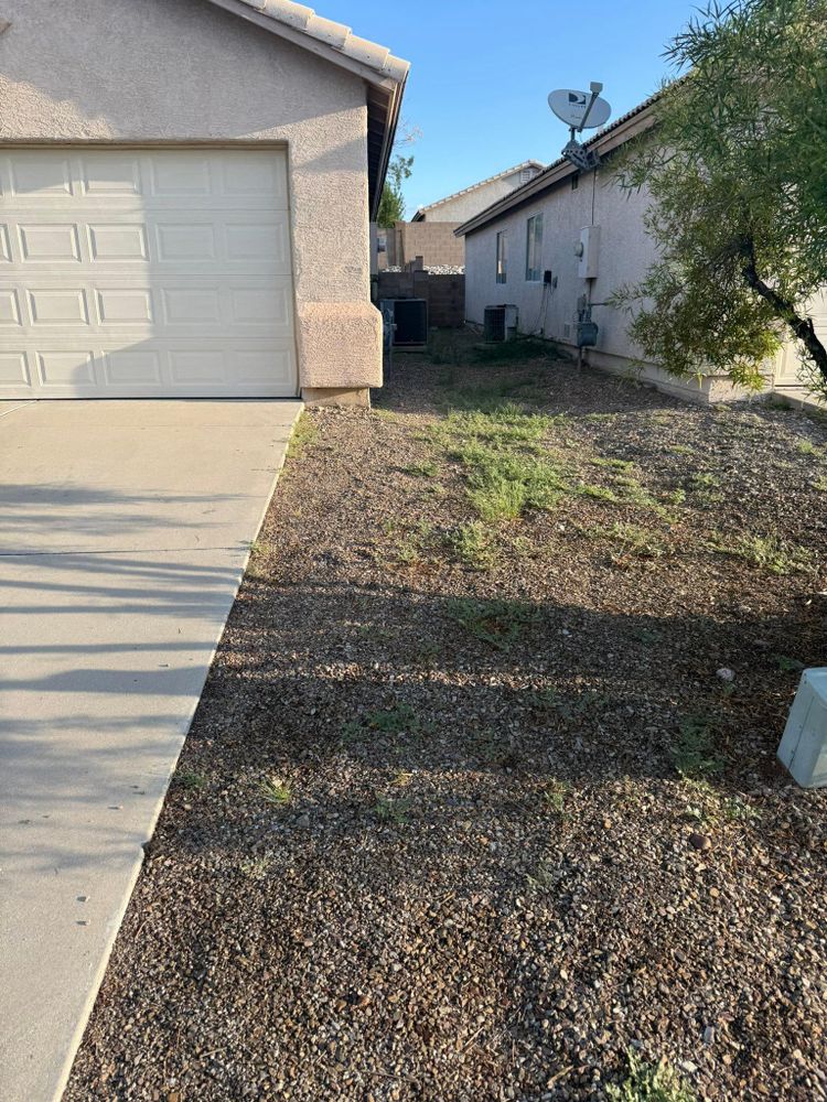 All Photos for LM Landscapes & Irrigation LLC Verified Account in Marana, AZ