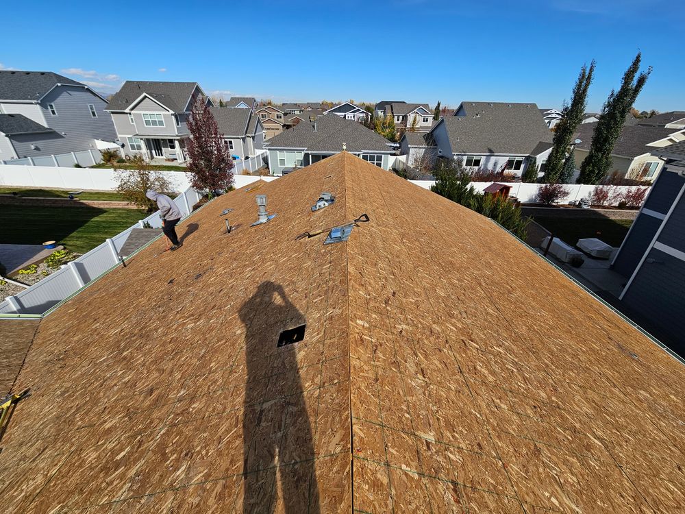 All Photos for Distinctive Home Renovations in Longmont, CO