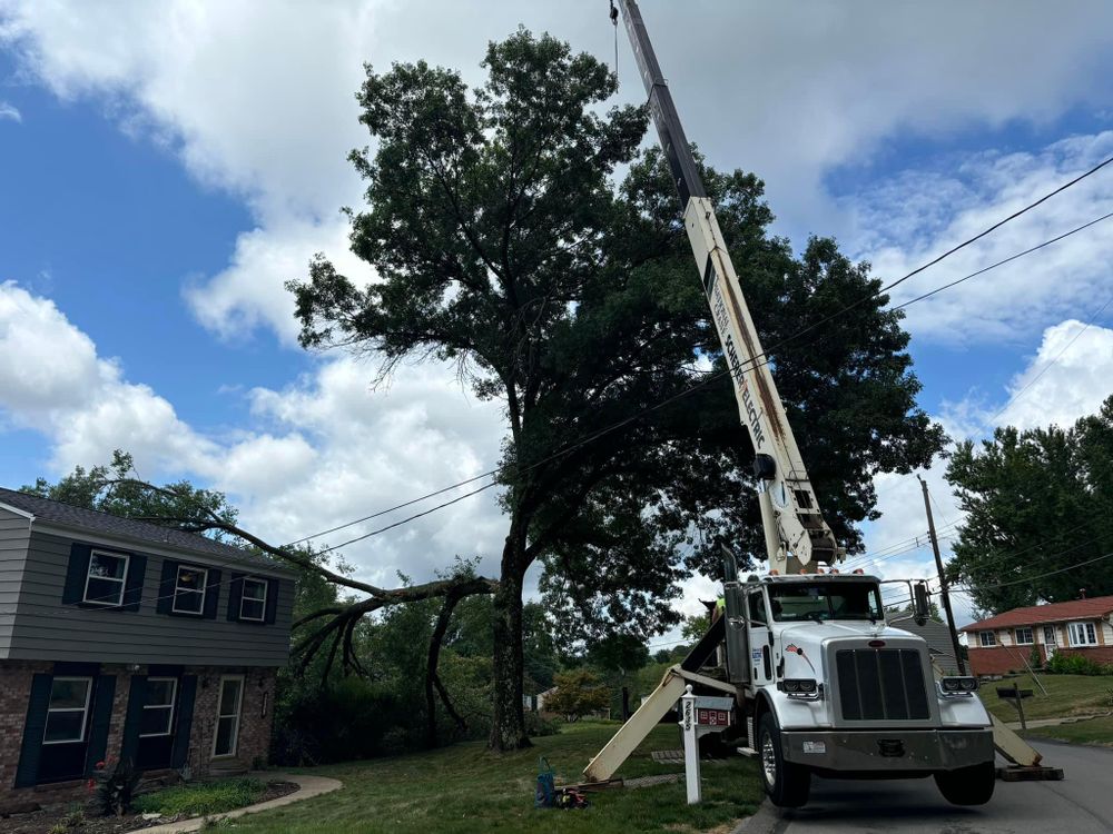 All Photos for JJ Tree Service in Gibsonia, PA