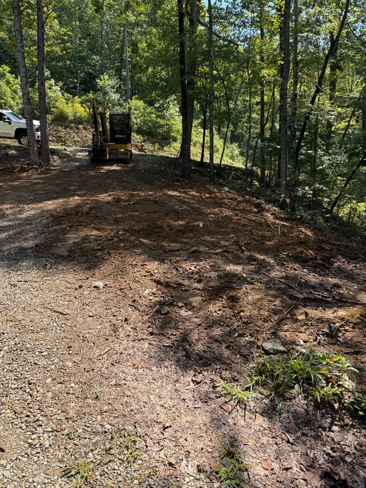 Stump removal for T Crane Grading LLC in Clarkesville, GA