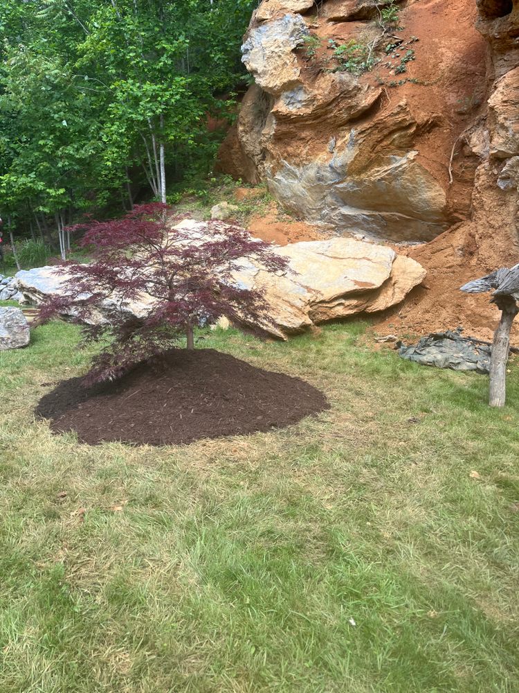 All Photos for Taylors Enterprises in Johnson City, TN