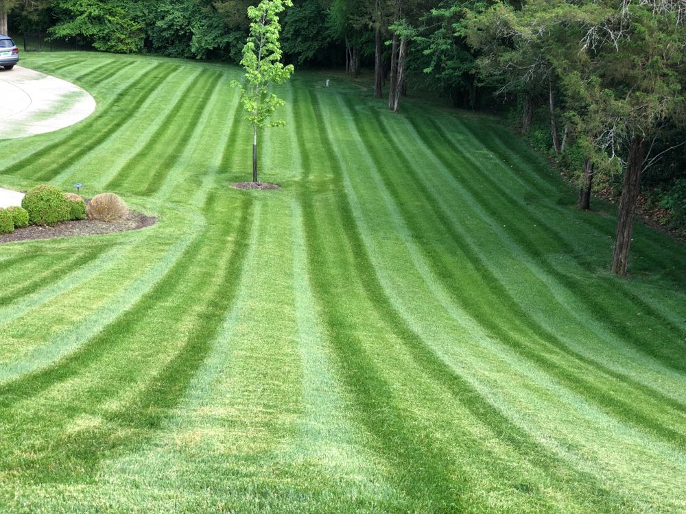 All Photos for Russell's Lawn Care Plus in Nashville, TN