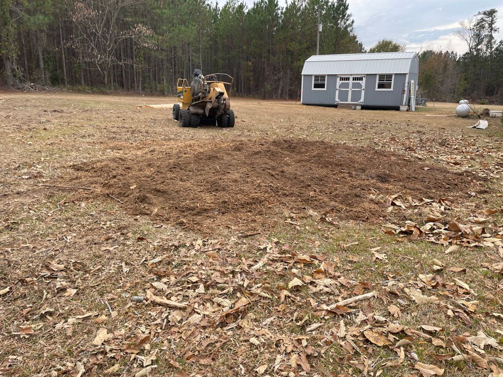 All Photos for MJB’s Stump Grinding LLC in Tennille, GA