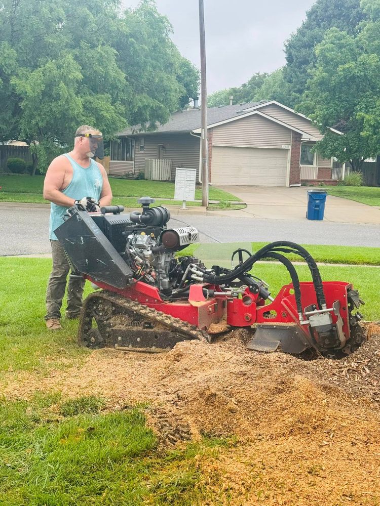 Our Stump Removal service efficiently eliminates unsightly stumps, enhancing your landscape's beauty and safety. Our expert team ensures a thorough, clean removal process to prevent future pest or regrowth issues. for Tree Life Tree Service in Wichita, KS