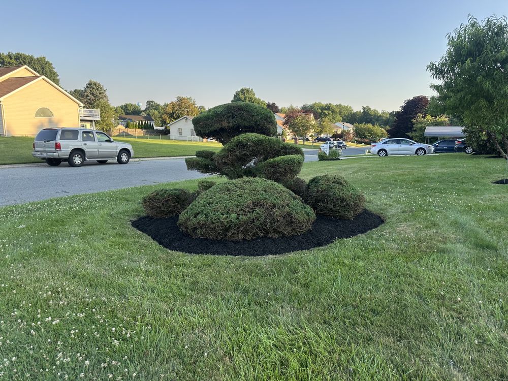 All Photos for A Better Lawn Service LLC in Bel Air, MD