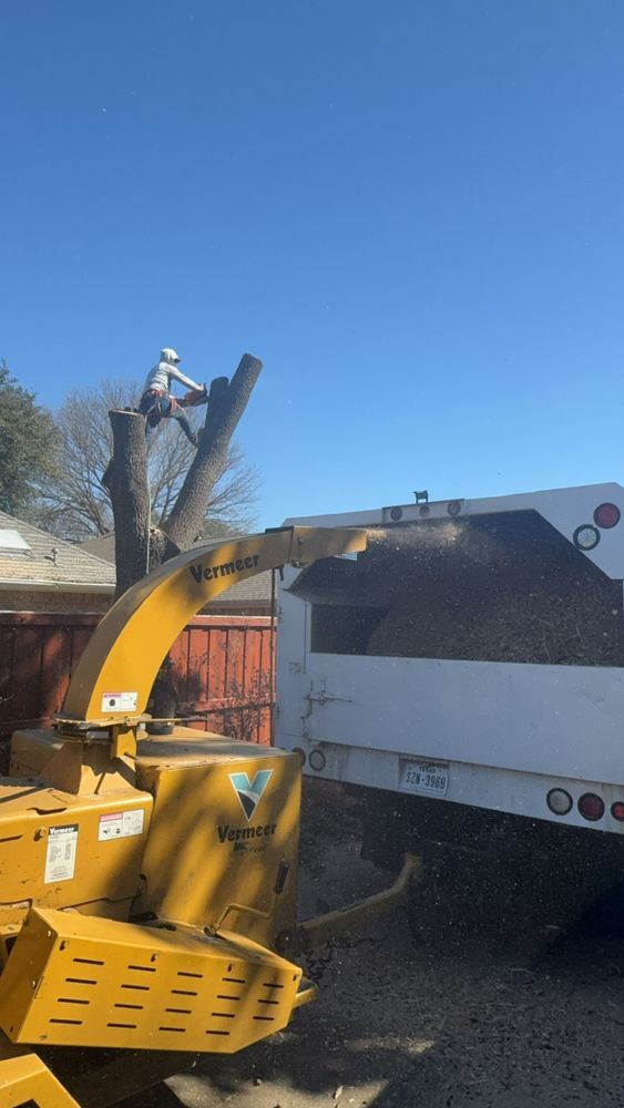 All Photos for Twin Oak Solutions in Carrollton, TX
