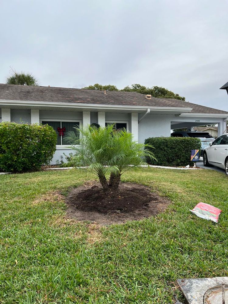Tree Removal for TREE BOYS in Ruskin, FL