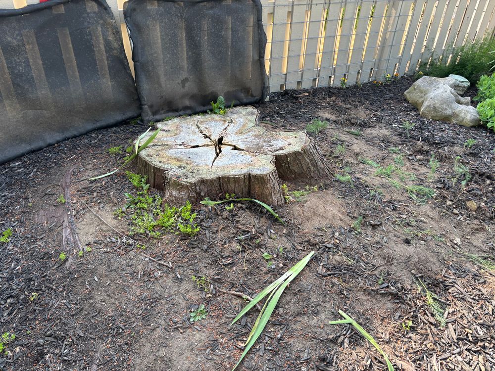 All Photos for Conrad's Stump Removal in Columbus, IN