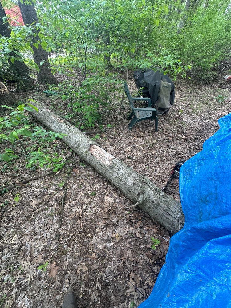 Tree Removal for Blakescape in Elkhart, IN