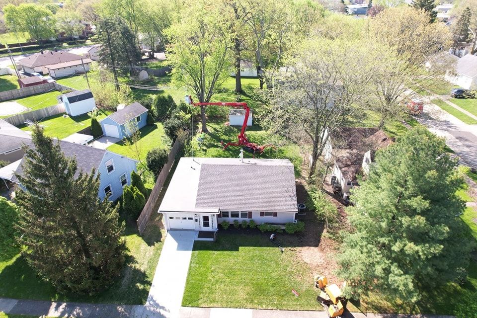 Tree Trimming and Removal for F & F Tree Service in Beavercreek, OH