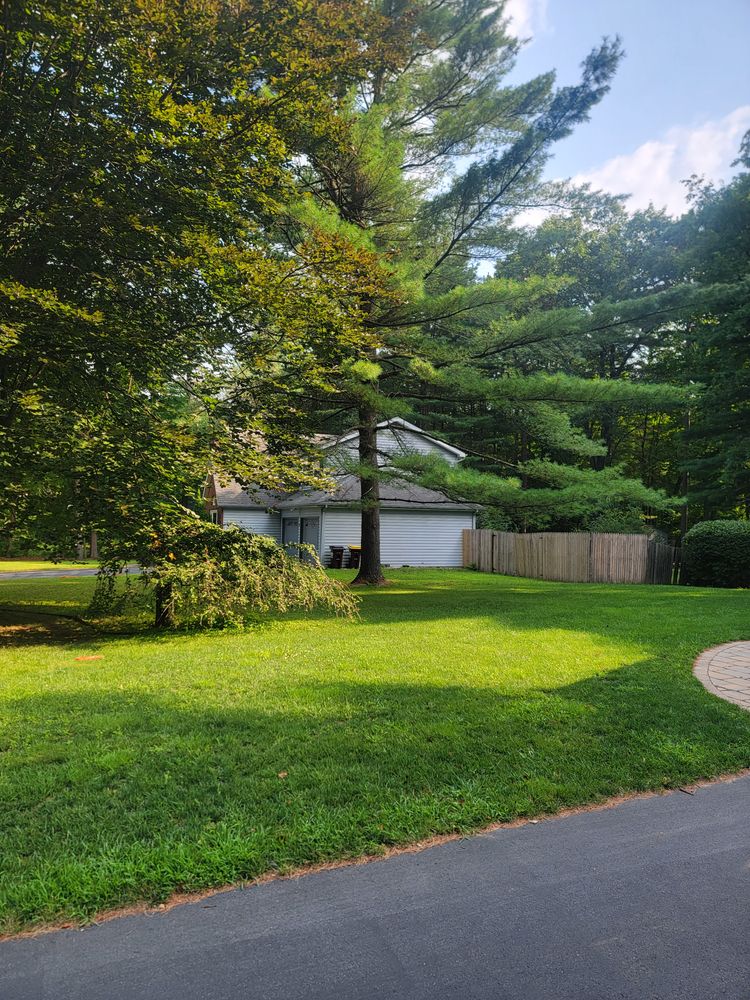 All Photos for Sweet Scapes in Ballston Spa, NY
