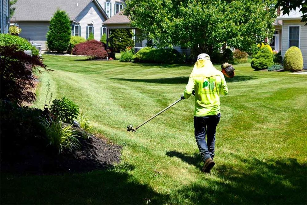 Lawn Dog Mowing and Lawn Services team in Panama City, FL - people or person