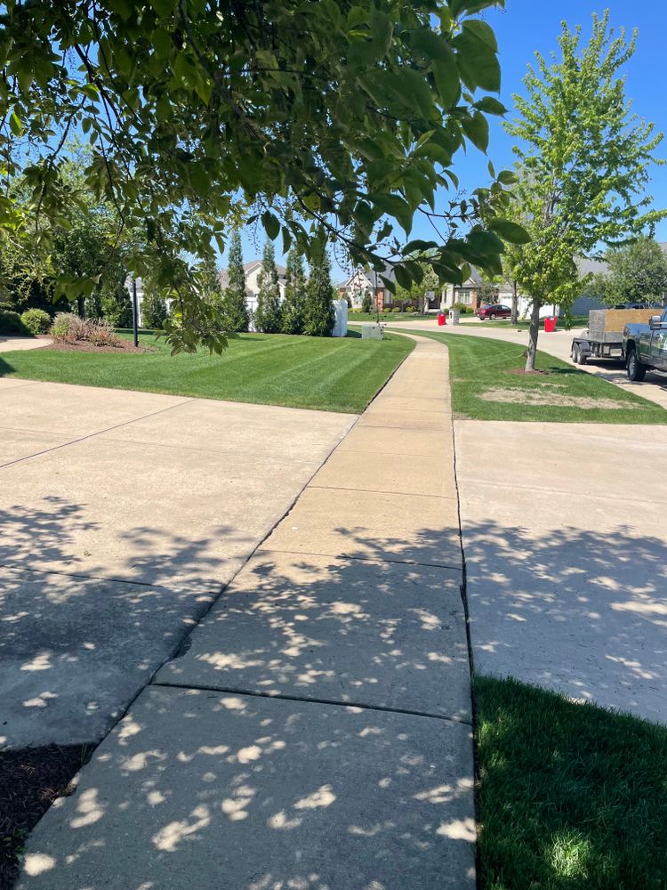All Photos for MDR Landscaping in Urbana, IL