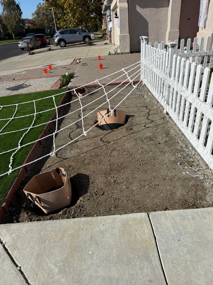 All Photos for CBA Landscaping in Hayward, CA