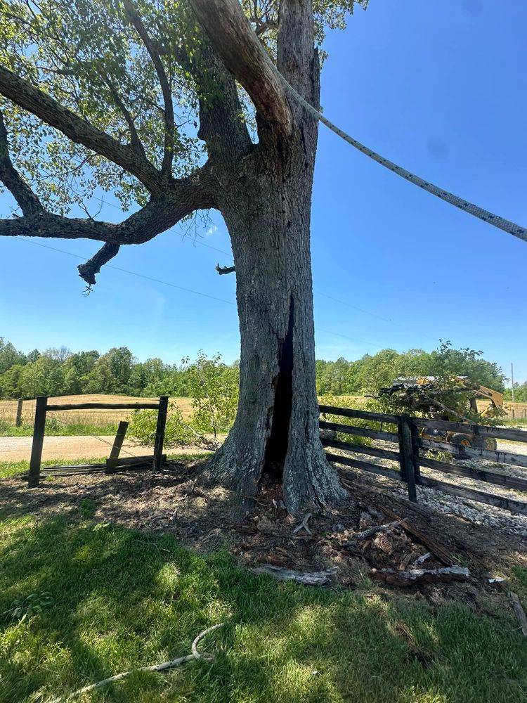 Our expert Tree Removal service ensures safe and efficient removal of unwanted or hazardous trees, enhancing your property's beauty and safety while minimizing disruption to your landscape. Contact us for a consultation. for Greenskeeper Property Management in Elizabethtown, KY