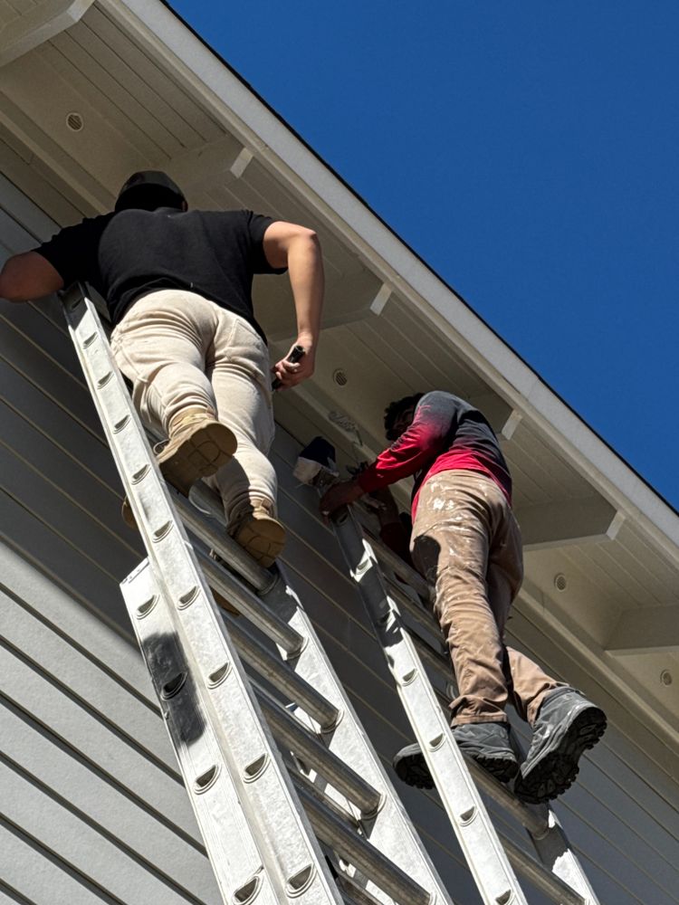 All Photos for Costa Esmeralda Painting in Fort Walton, FL