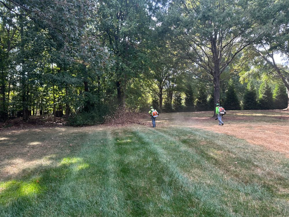 All Photos for Pecina Pine Needles in Monroe, NC