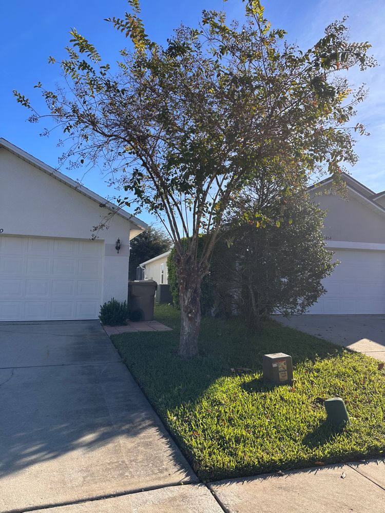 All Photos for Ludlows Services in Clermont, FL