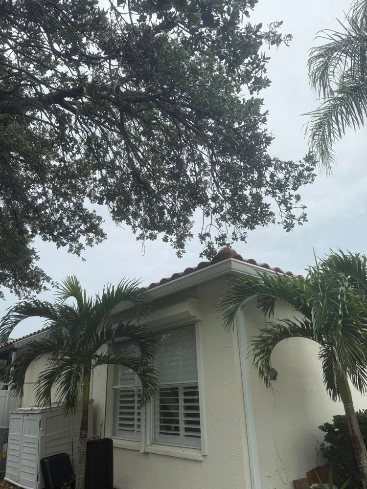 All Photos for Damian’s Tree Care in Sarasota, FL