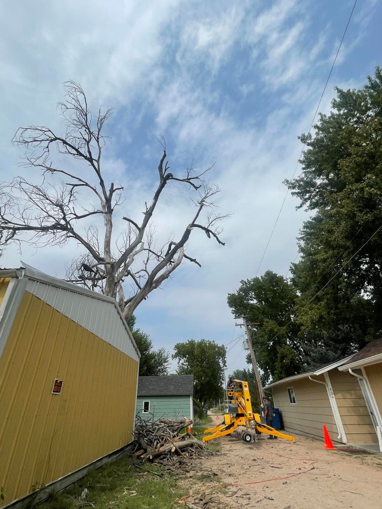 Brush & Tree Removal for M&N Fencing in Crook, CO