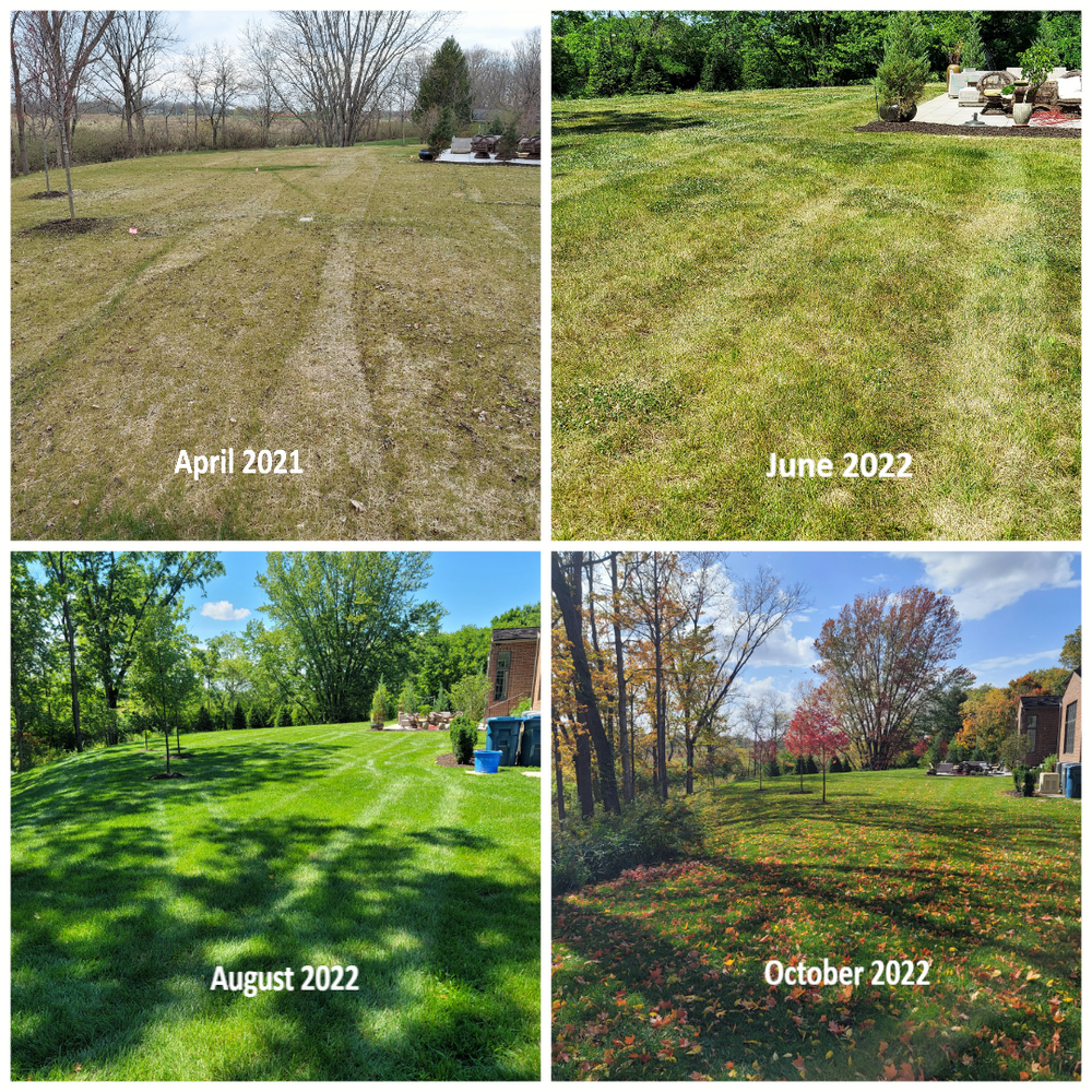 Turf Development and Maintenance  for P.J.E. Lawn Care & Landscaping in Indianapolis, IN