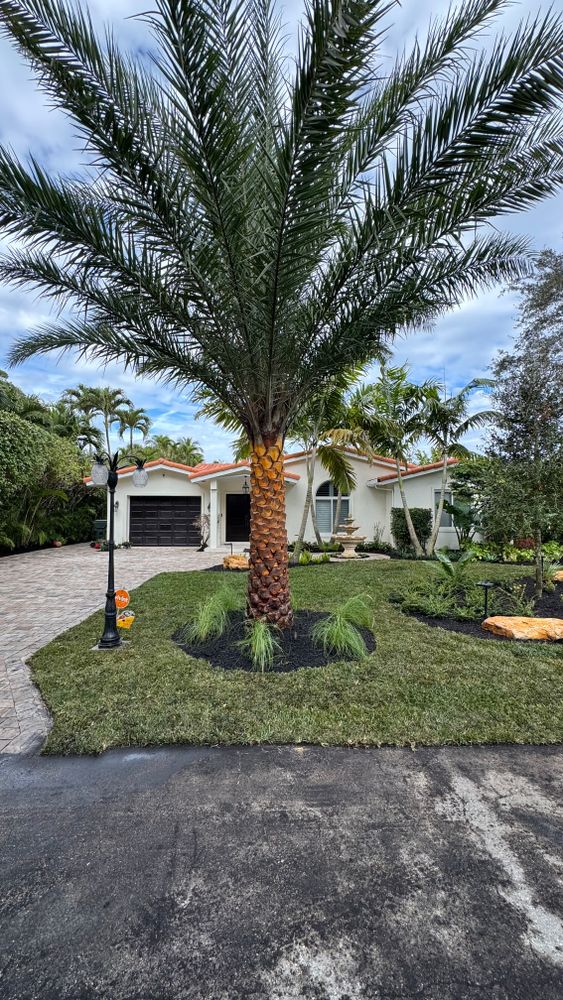 New Photo Uploads for South Florida Terra Systems in Boca Raton, FL