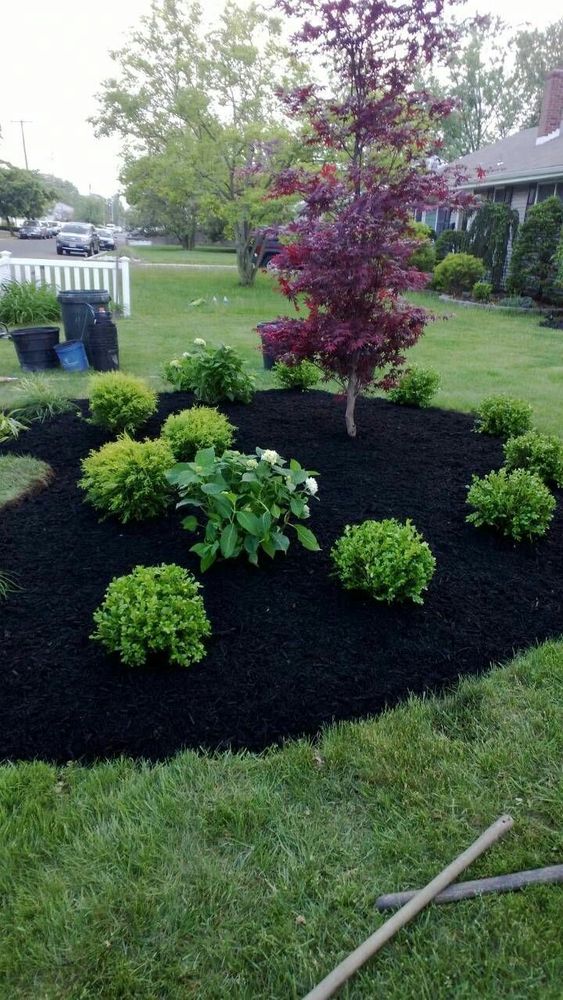 Fall and Spring Clean Up for GM Landscaping  Construction LLC in Philadelphia, Pennsylvania