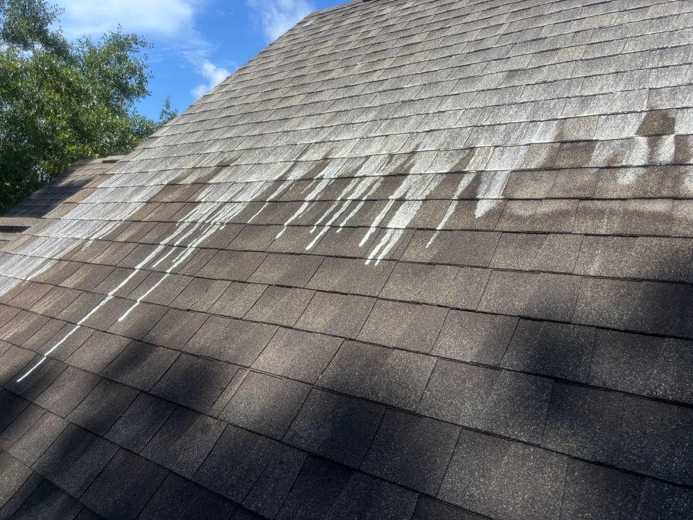 All Photos for Living Stream Pressure Washing in Wilmington, NC