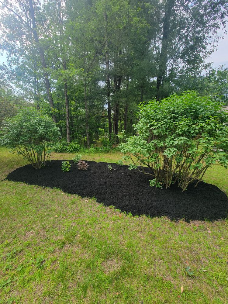 All Photos for Sweet Scapes in Ballston Spa, NY