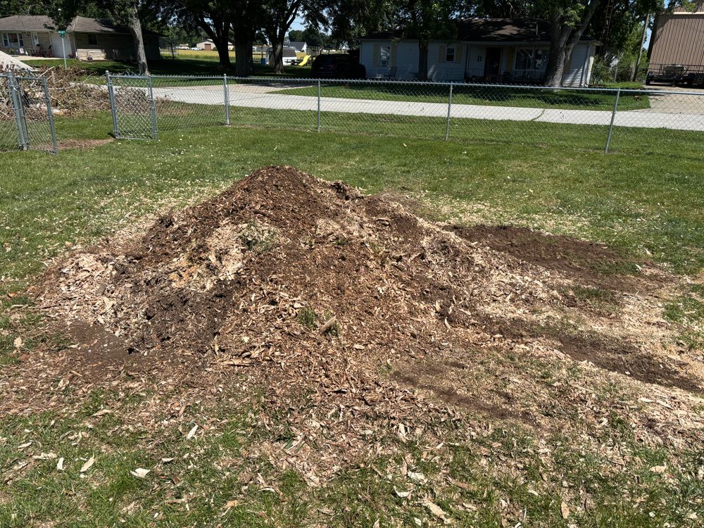 All Photos for Conrad's Stump Removal in Columbus, IN
