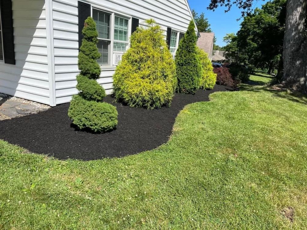 Enhance your lawn's health and appearance with our Aeration & Seeding service, which alleviates soil compaction, boosts nutrient absorption, and fosters lush grass growth for a more vibrant outdoor space. for Russo’s Landscaping & Tree Removal in Levittown, PA