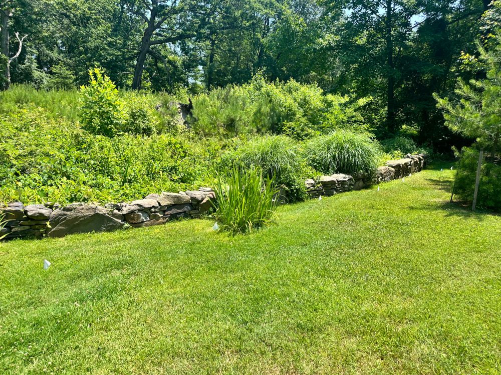 All Photos for Matteo Hardscapes in Towson,  MD