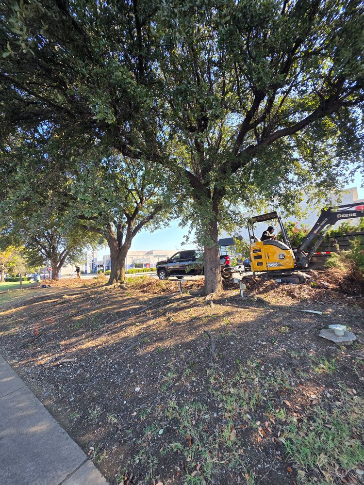 All Photos for RACSO RDZ LLC in McKinney, TX