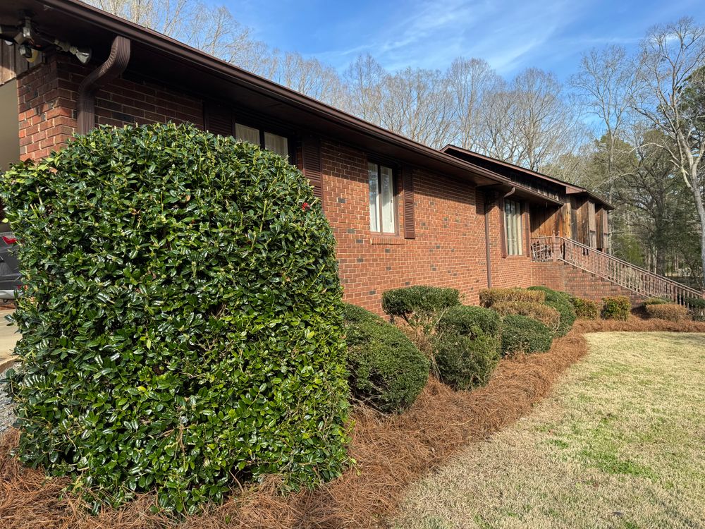 All Photos for Chavez Landscaping in Pittsboro, NC