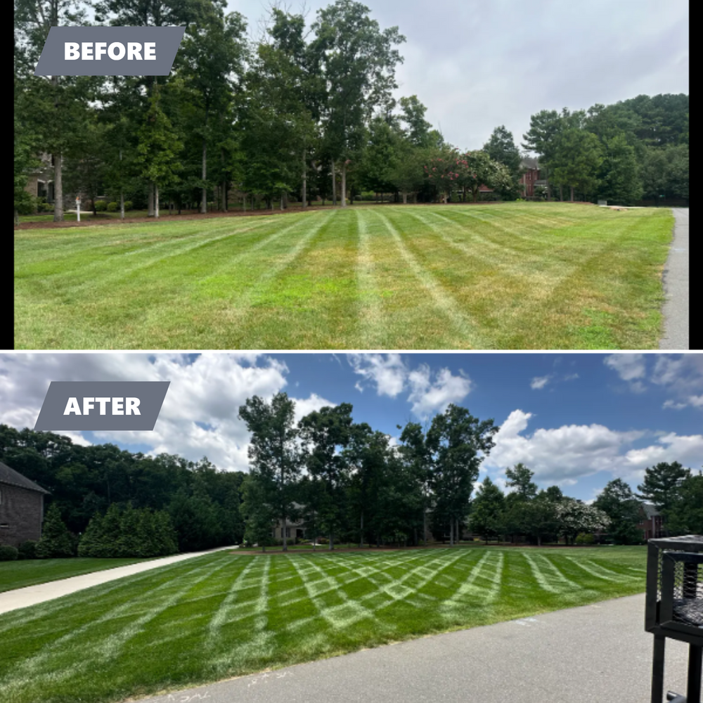 All Photos for Pecina Pine Needles in Monroe, NC