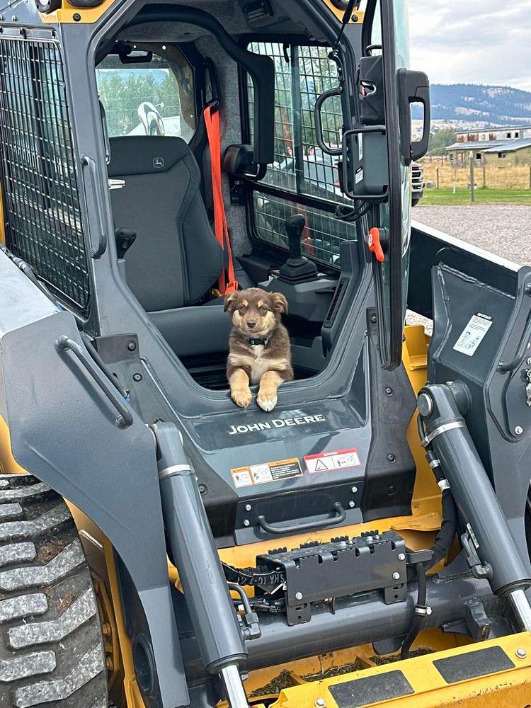 Rocky Mountain Dirt Work team in Missoula, MT - people or person