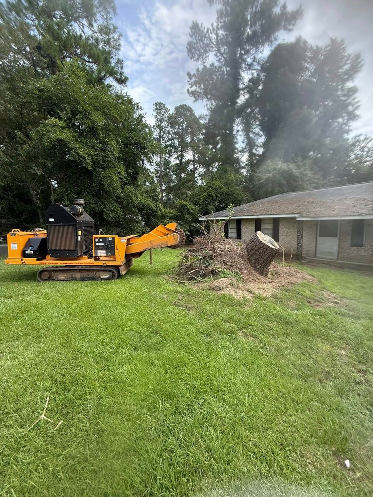 All Photos for Dozier Stump Grinding in Augusta, GA
