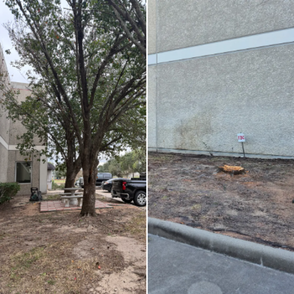 All Photos for Texas Lawn & Sprinkler Co. in Houston, TX