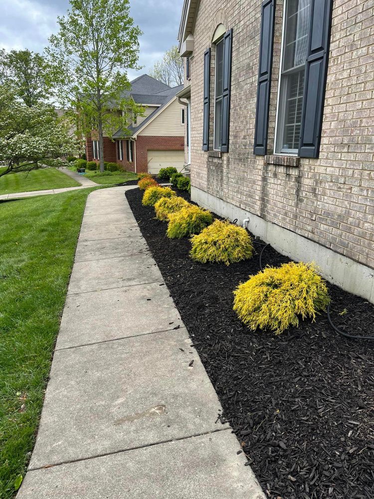 Fall and Spring Clean Up for Cincinnati’s Finest Landscape Services LLC in Cincinnati, OH