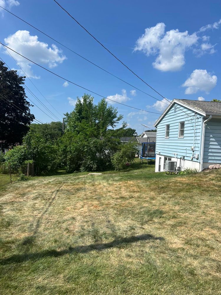 Tree Removal for Fransen's Tree Service  in Freeport, IL