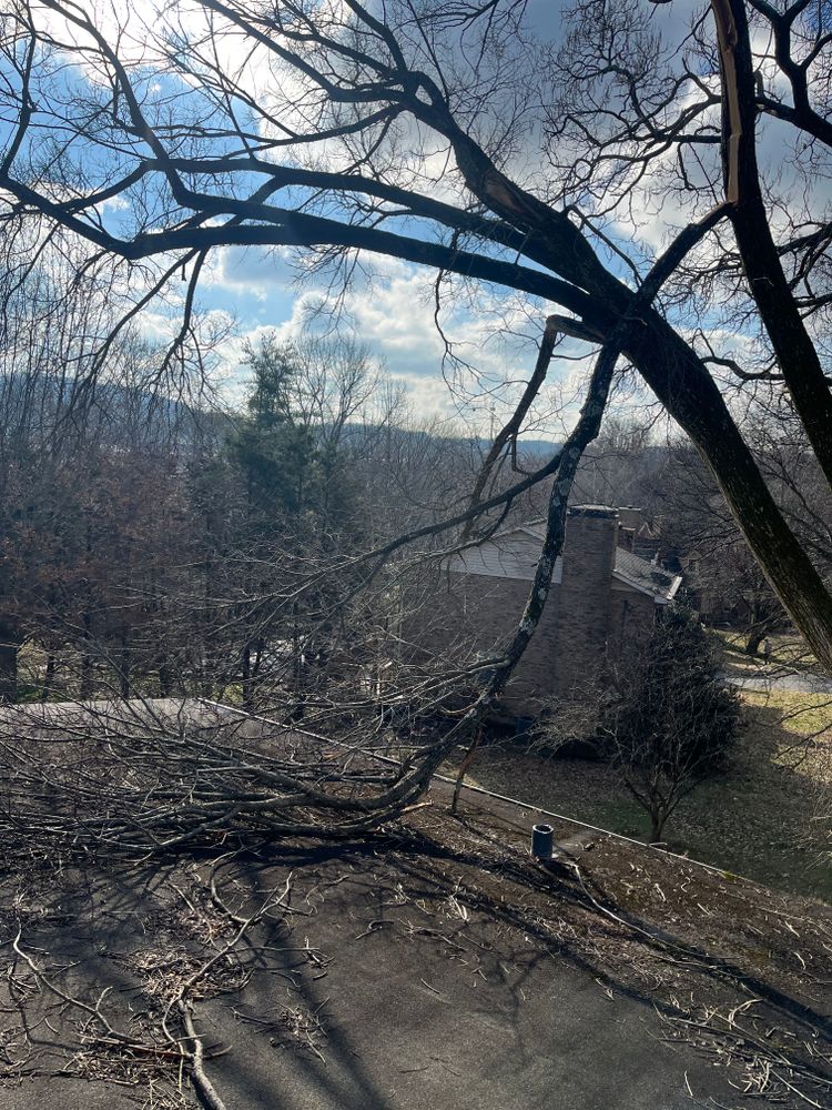 All Photos for T&T Lot Works in Kingston Springs, TN