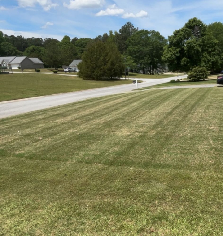 All Photos for WD Lawn Services in Loganville, GA