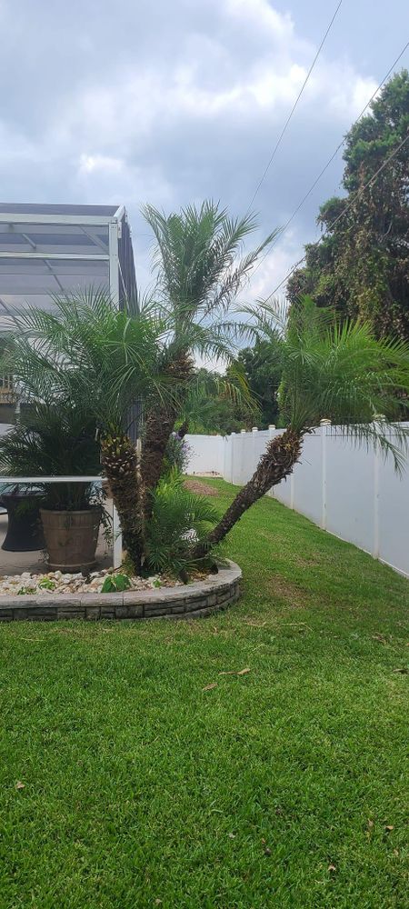 All Photos for TopNotch Landscaping Services  in The Villages, FL