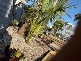 All Photos for Alpha Trees Service and Property Management in Port Charlotte, FL