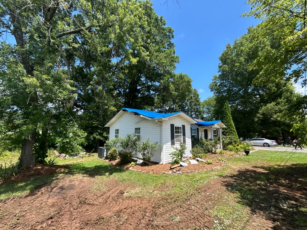 All Photos for Chipper's Tree Service  in Fort Payne, AL