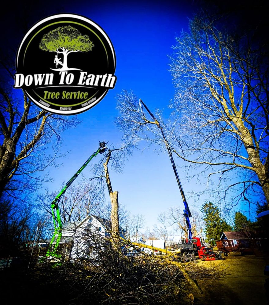 All Photos for Down To Earth Tree Service in Red Wing,  Minnesota
