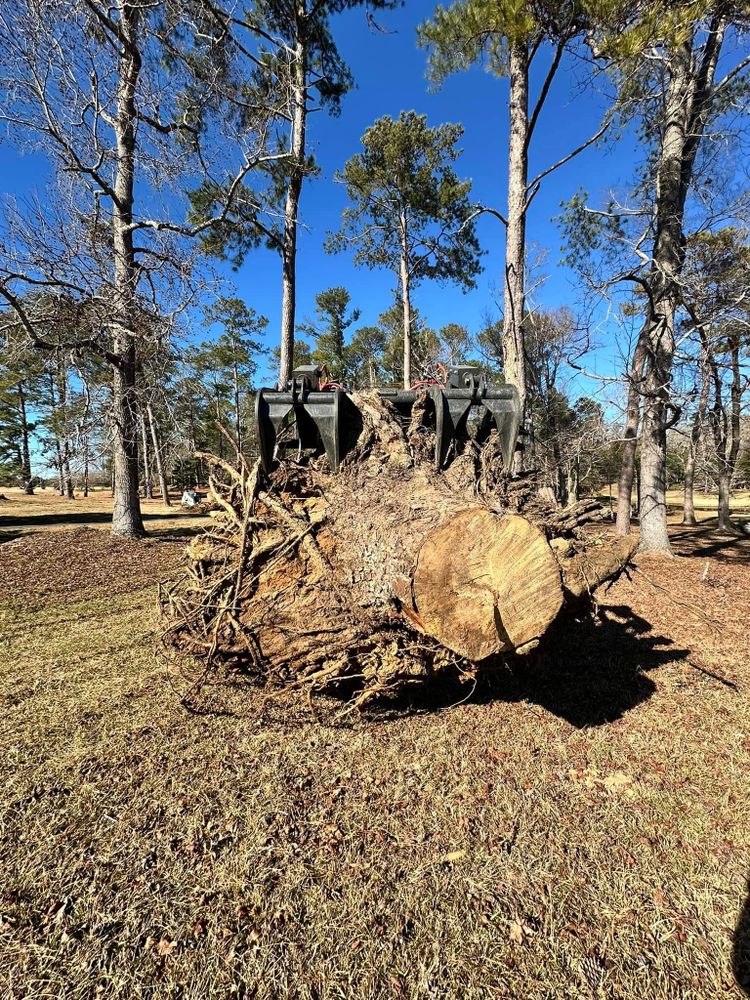 Our stump removal service efficiently eliminates unwanted stumps, enhancing your landscape's beauty and safety. We ensure quick, professional removal with minimal disruption to your property, leaving a clean and polished finish. for Page Outdoor Services in Wrightsville, GA