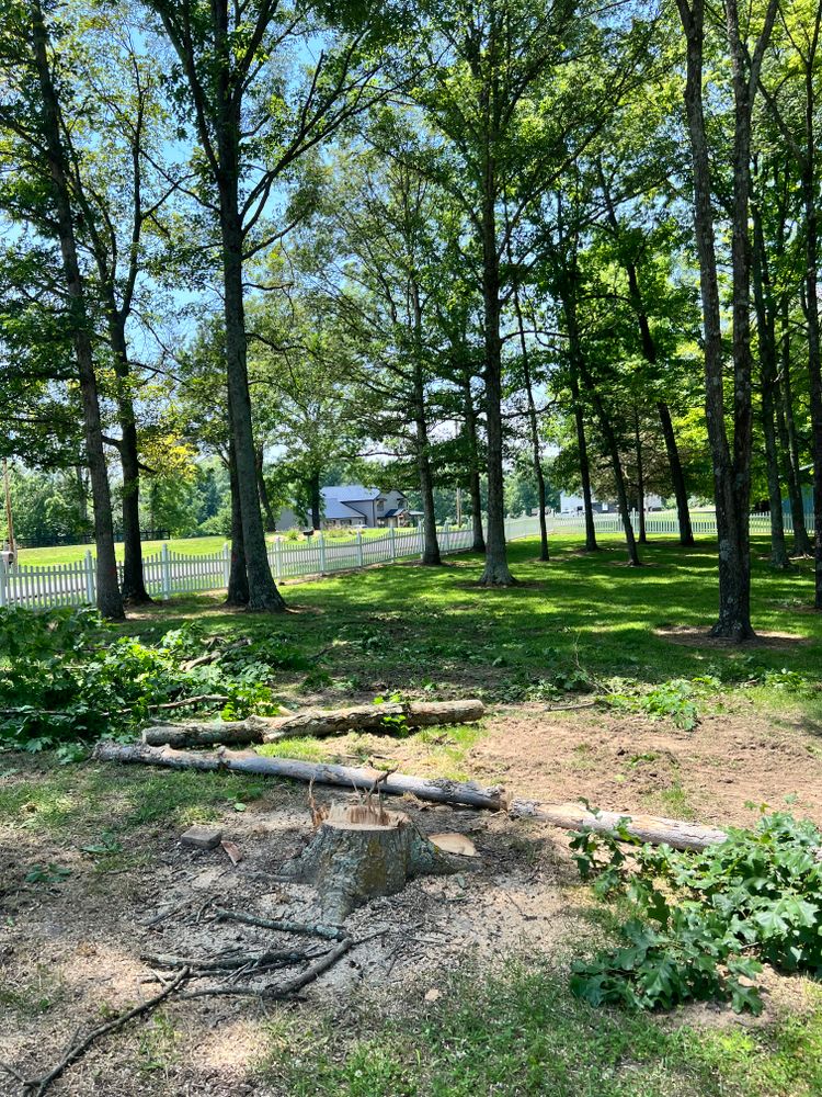 All Photos for Kadin’s Tree Service in North Vernon, IN