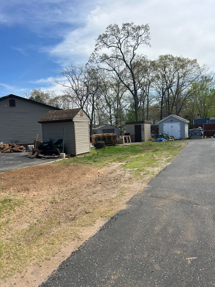 All Photos for Hingewood Tree Service in Salem, NJ