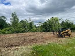 Our Forestry Mulching service efficiently clears overgrown land by shredding vegetation into mulch, enhancing soil quality and preparing the area for future projects without damaging surrounding landscapes. for TS Land Mangement in Bigfoot, TX